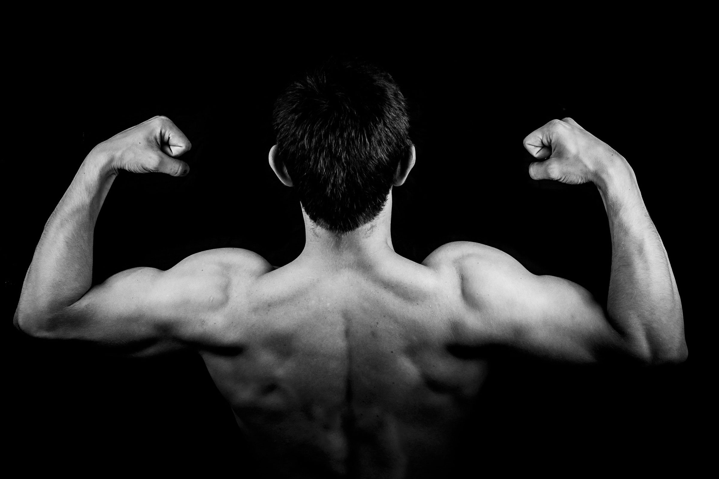 muscoli